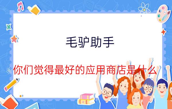 毛驴助手 你们觉得最好的应用商店是什么？